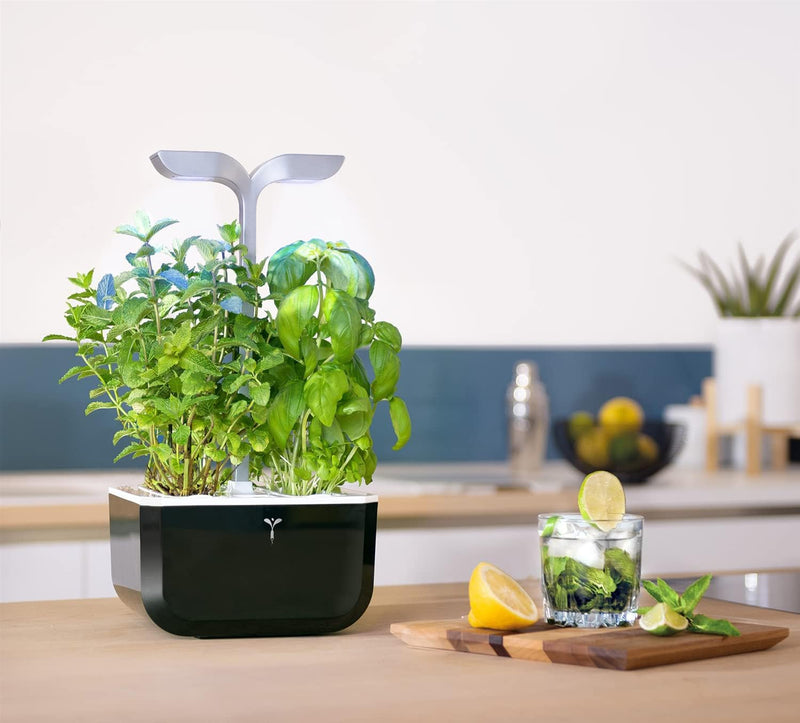 VERITABLE - EXKY SMART Indoor Garden | Soft Black