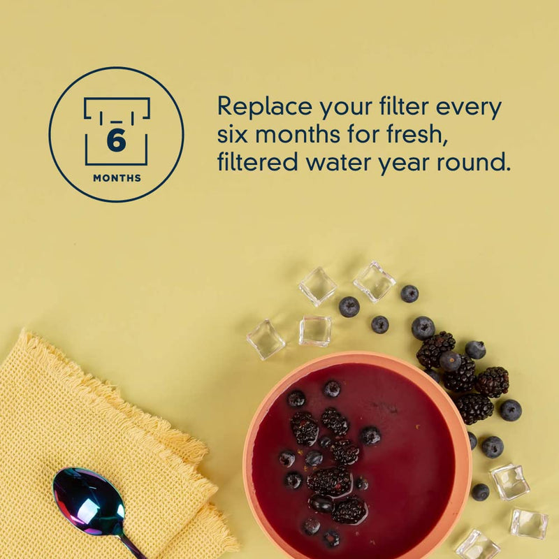 EveryDrop - Filter 3 EDR3RXD1B - Refrigerator Water Filter