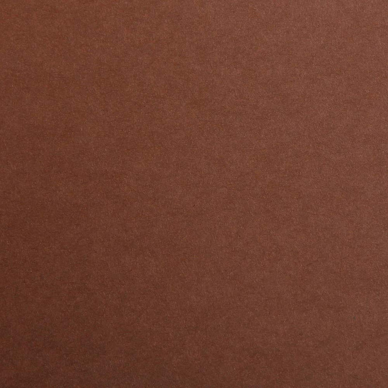 Clairefontaine - Maya Cardboard 270g  Brown  25 Sheets  19.7x27.6in
