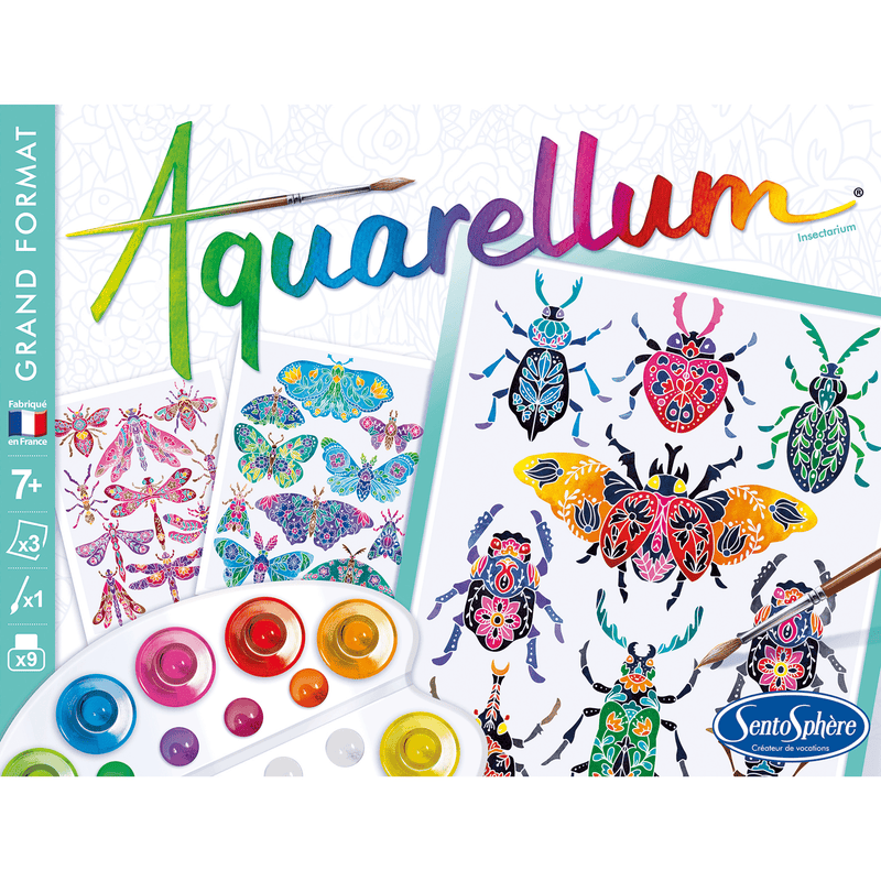 AQUARELLUM - INSECTARIUM