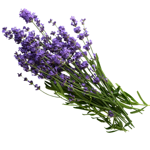 BCL Spa - Sugar Scrub Lavender + Mint