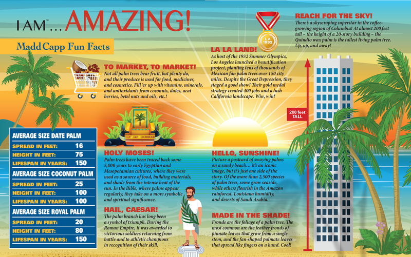 Madd Capp Puzzles – I Am Palm Jigsaw Puzzle | 1000 Pieces – educational Fun Facts insert