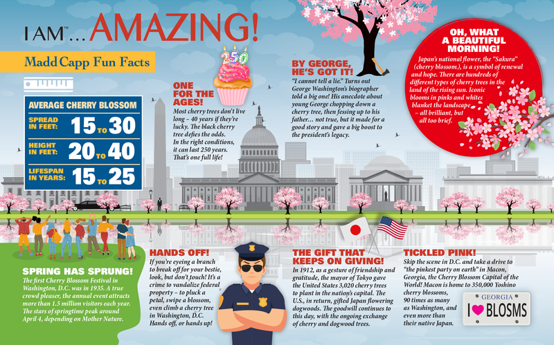 Madd Capp Puzzles – I Am Cherry Blossom Jigsaw Puzzle | 1000 Pieces – educational Fun Facts insert