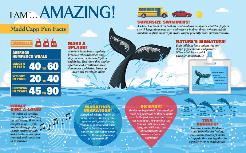Madd Capp Puzzles – I Am Humpback Whale Jigsaw Puzzle | 1000 Pieces – educational Fun Facts insert