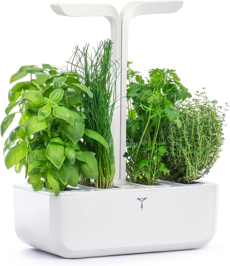 VERITABLE - CLASSIC Indoor Garden