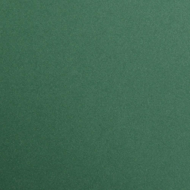 Clairefontaine - Maya Cardboard 270g  Antique Green  25 Sheets  19.7x27.6in