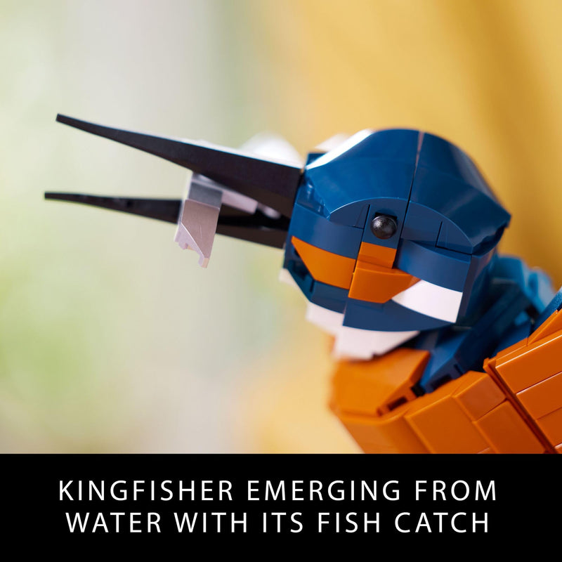 LEGO Icons Kingfisher Model 10331