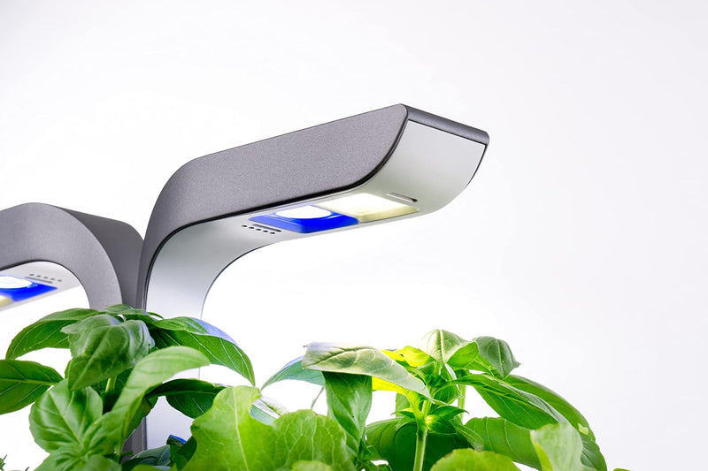 VERITABLE - CONNECT Indoor Garden | Infinity Grey