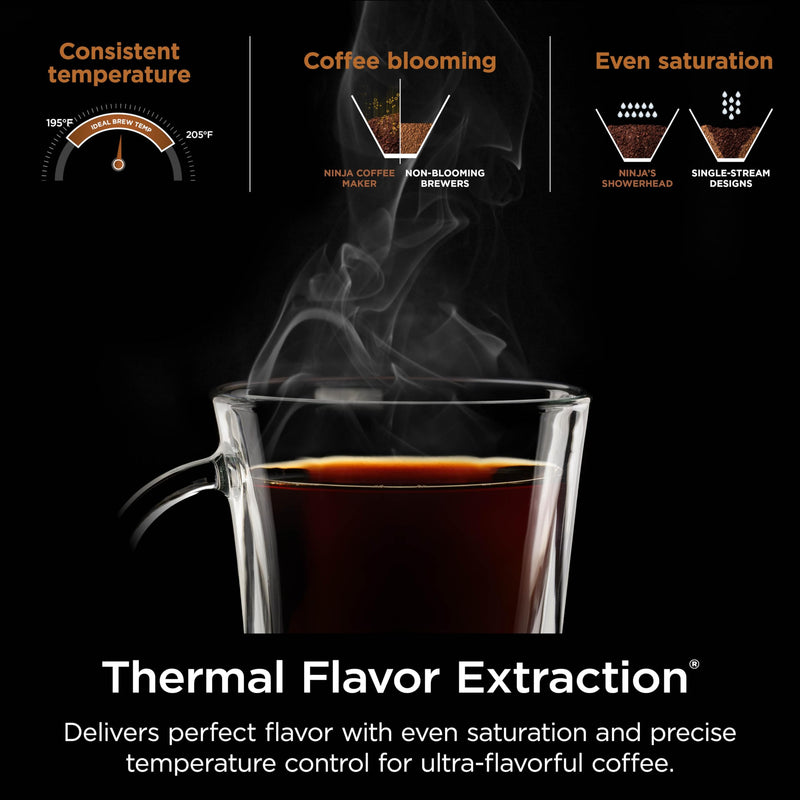 Ninja Hot & Iced Coffee Maker CM360C