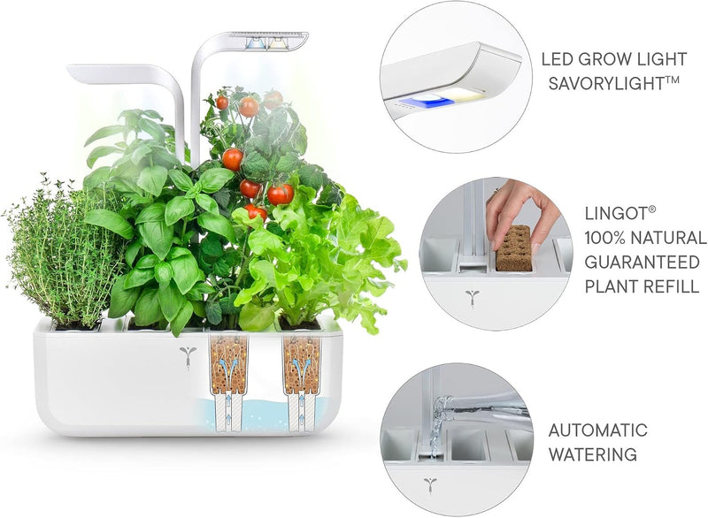 VERITABLE - CLASSIC Indoor Garden
