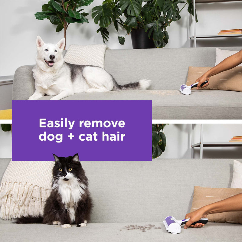 BLACK+DECKER - HMSCT0001 - Reusable Pet Hair Remover