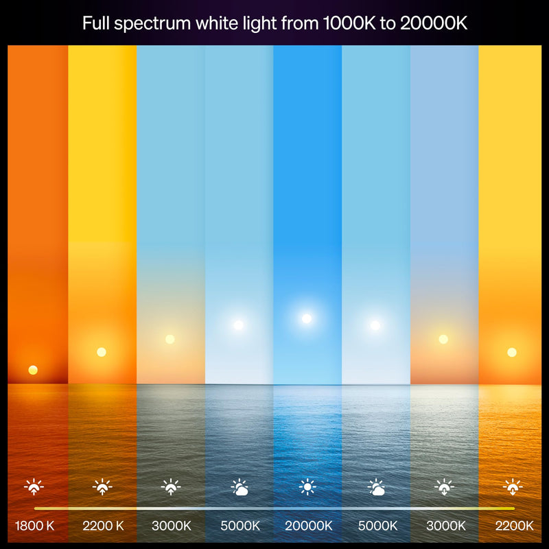 Philips Hue A19 White & Color Ambiance Smart Bulb 591164, 1 Pack