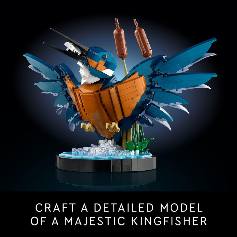 LEGO Icons Kingfisher Model 10331