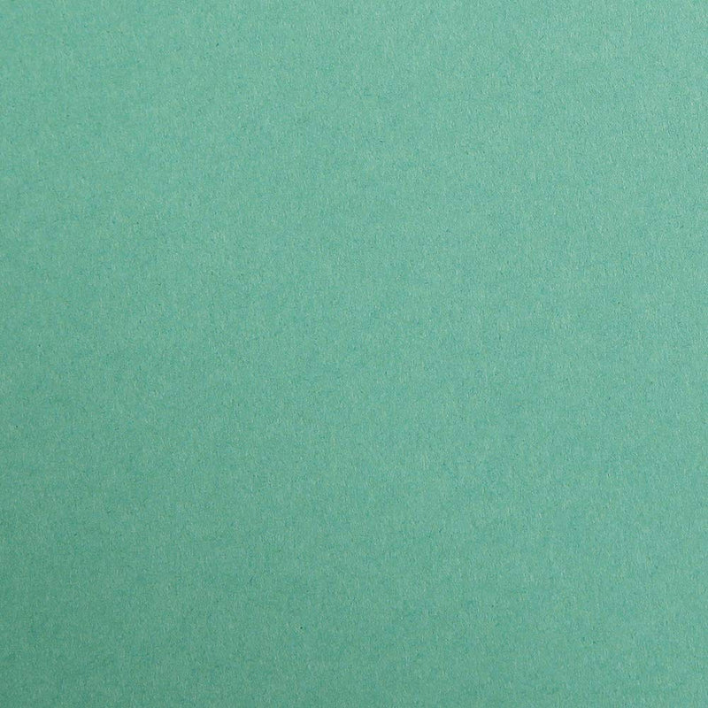 Clairefontaine - Maya Cardboard 270g  Dark Green  25 Sheets  19.7x27.6in