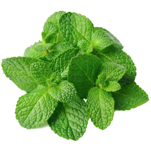 BCL Spa - Sugar Scrub Lavender + Mint