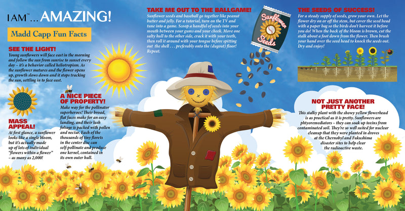 Madd Capp Puzzles – I Am Sunflower Jigsaw Puzzle | 350 Pieces – educational Fun Facts insert