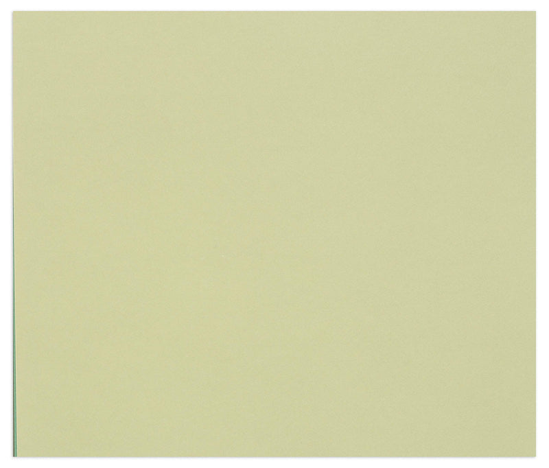 Clairefontaine - Tulipe Cardboard 160G Linden Green 25 Sheets (19.7 x 25.6 In)