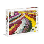 PZ1000: CHRYSANTHEMUM GARDEN
