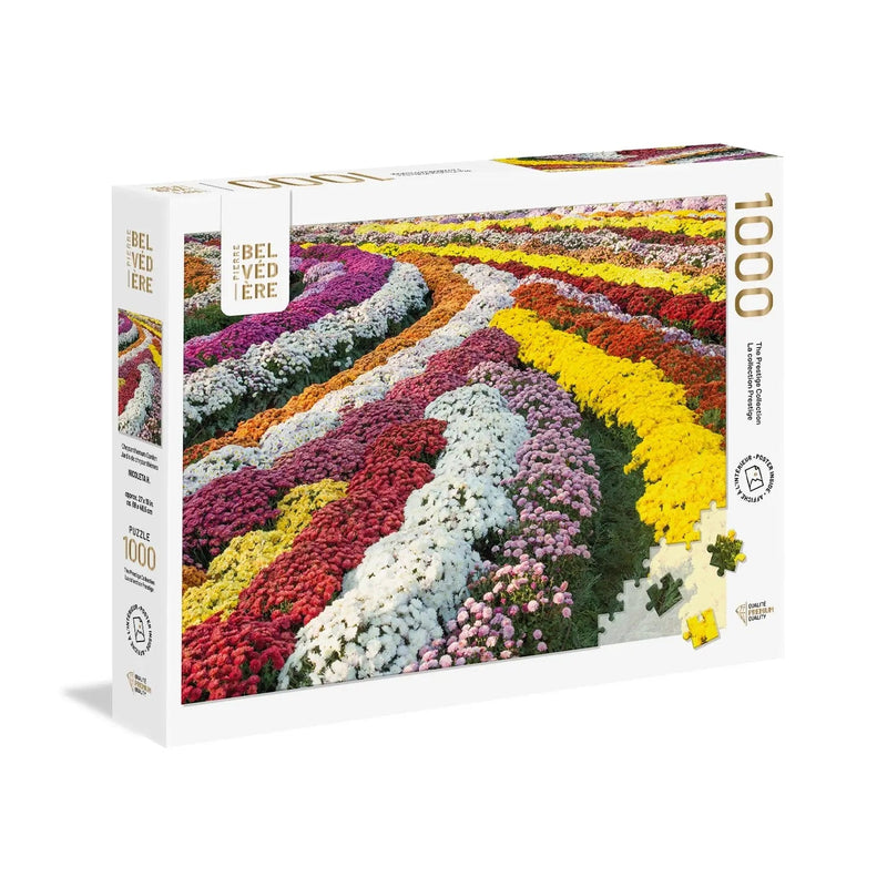 PZ1000: CHRYSANTHEMUM GARDEN