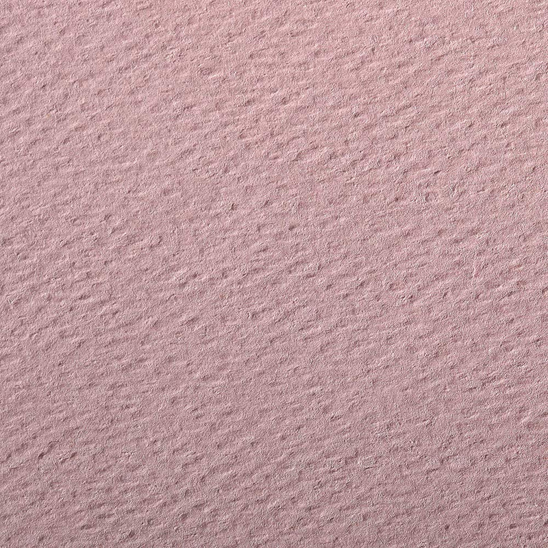 Clairefontaine - Pack Of Color Drawing Paper Etival Color 160G Dark Pink 24 Sheets (29.5 x 43.3 In)