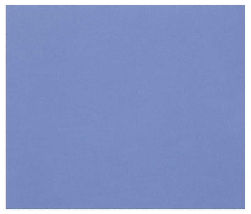Clairefontaine - Tulipe Cardboard 160G Ultra Marine 25 Sheets (19.7 x 25.6 In)