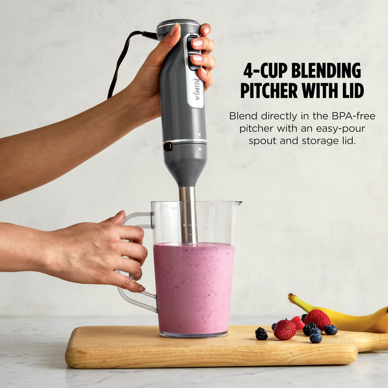 Ninja Immersion Blender & Whisk CI201CGY