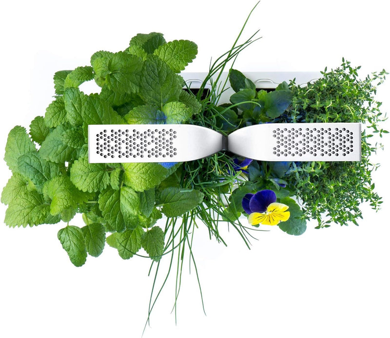 VERITABLE - CLASSIC Indoor Garden