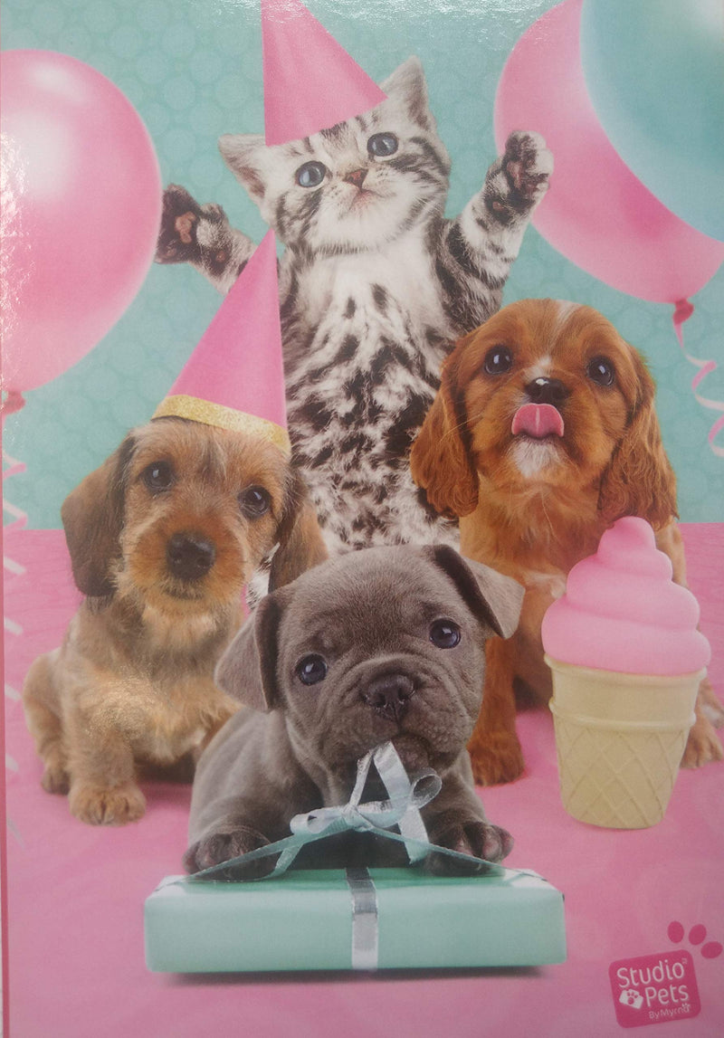 TCG - PUZZLE - COLLECTION STUDIO PETS - L'HEURE DE LA FÊTE - 500 pièces