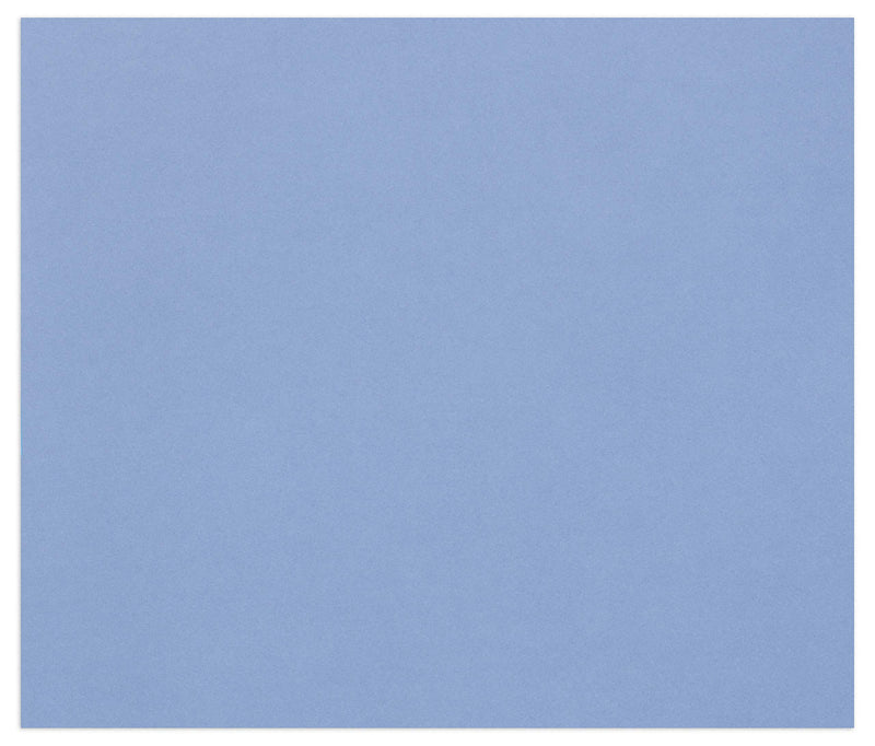 Clairefontaine - Tulipe Cardboard 160G Royal Blue 25 Sheets (19.7 x 25.6 In)