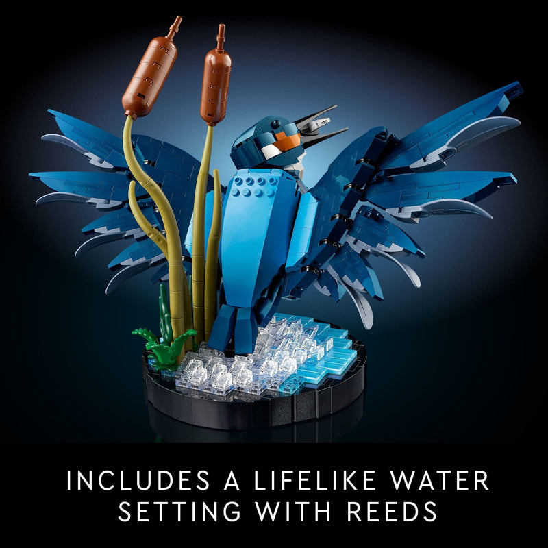 LEGO Icons Kingfisher Model 10331