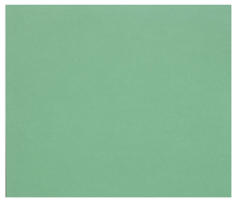 Clairefontaine - Tulipe Cardboard 160G Dark Green 25 Sheets (19.7 x 25.6 In)