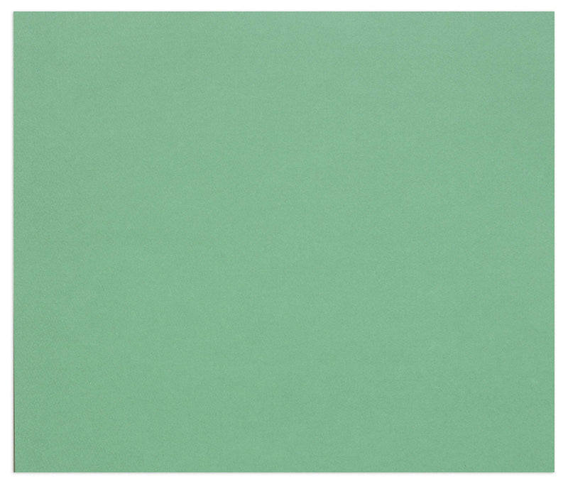 Clairefontaine Tulipe Dark Green coloured drawing paper – 160 gsm, 50 × 65 cm