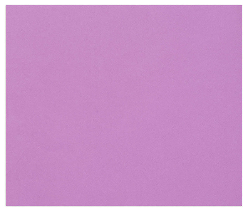 Clairefontaine - Tulipe Cardboard 160G Lilac 25 Sheets (19.7 x 25.6 In)