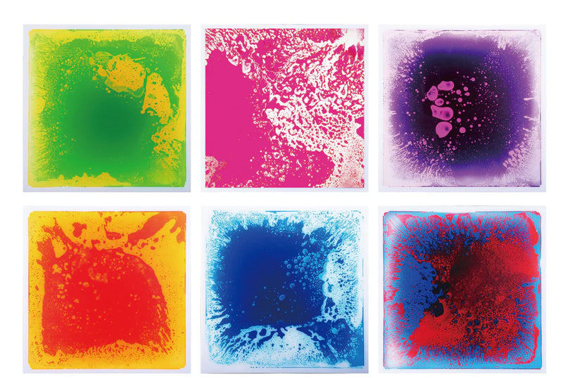 Beleduc - FASCINATION PLATES (SET OF 6) - Limolin 