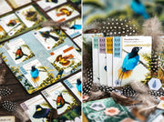OISEAUX DE PARADIS