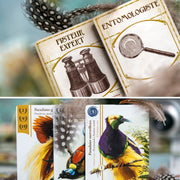 OISEAUX DE PARADIS