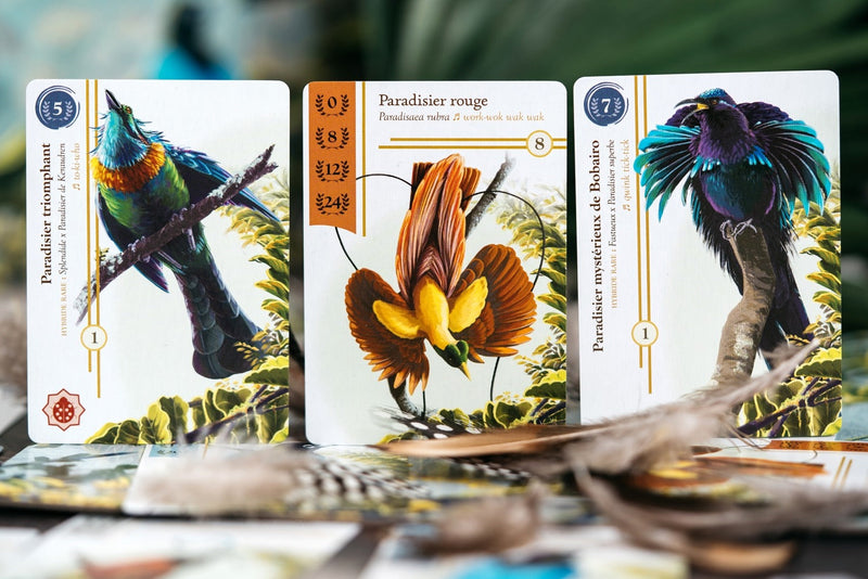OISEAUX DE PARADIS