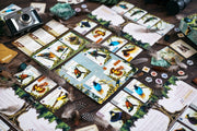 OISEAUX DE PARADIS