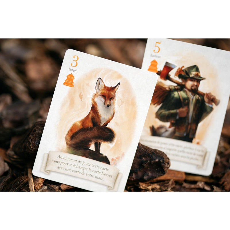 LE RENARD DES BOIS DUO - BOITE MÉTAL