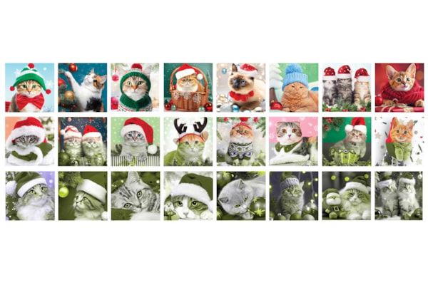 Eurographics - Advent Christmas Whiskers
