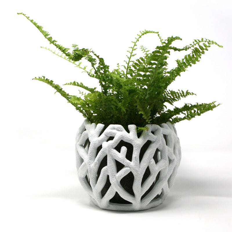 BIA - BRAKA Decorative Planter