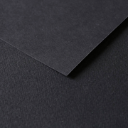 Tulipe Cardboard 160G black 25 sheets (19.7 x 25.6 in)
