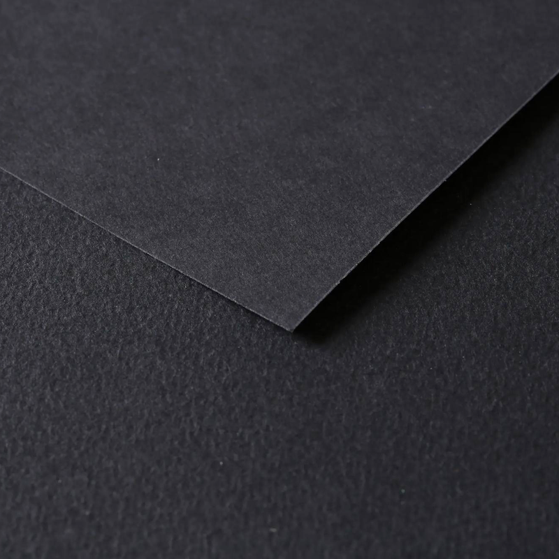Tulipe Cardboard 160G black 25 sheets (19.7 x 25.6 in)