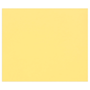 Tulipe Cardboard 160G buttercup 25 sheets (19.7 x 25.6 in)