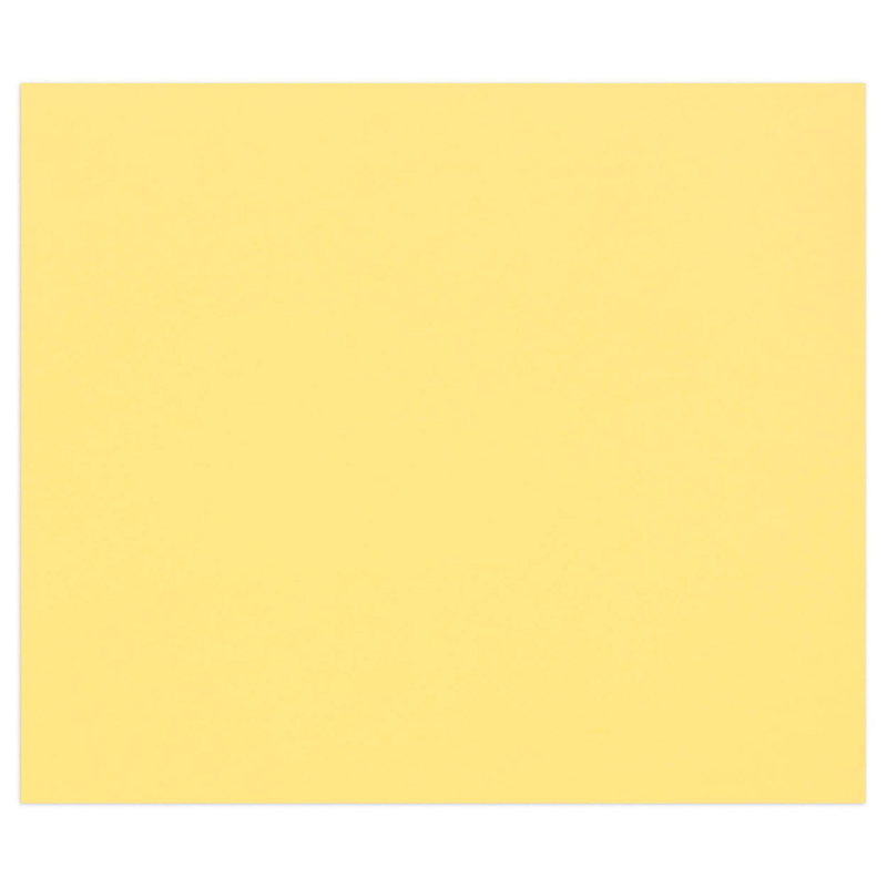 Tulipe Cardboard 160G buttercup 25 sheets (19.7 x 25.6 in)