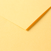 Tulipe Cardboard 160G buttercup 25 sheets (19.7 x 25.6 in)