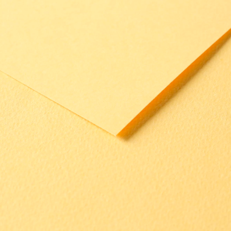 Tulipe Cardboard 160G buttercup 25 sheets (19.7 x 25.6 in)