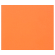 Tulipe Cardboard 160G orange 25 sheets (19.7 x 25.6 in)