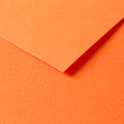 Tulipe Cardboard 160G orange 25 sheets (19.7 x 25.6 in)