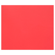 Tulipe Cardboard 160G poppy 25 sheets (19.7 x 25.6 in)